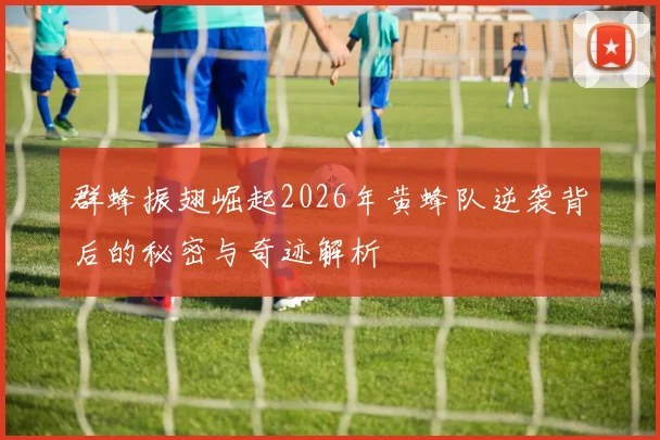 群蜂振翅崛起2026年黄蜂队逆袭背后的秘密与奇迹解析