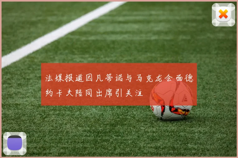 法媒报道因凡蒂诺与马克龙会面德约卡夫陪同出席引关注