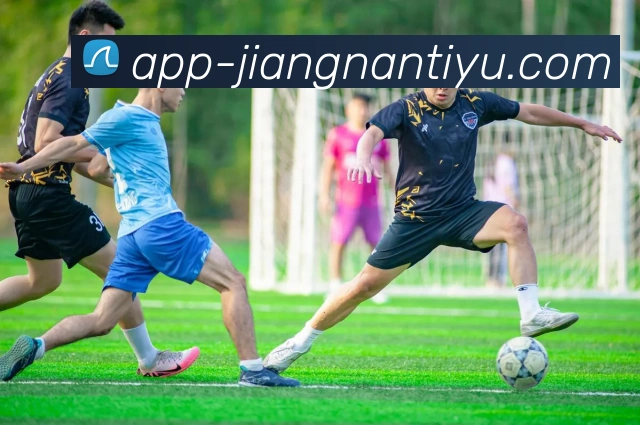 App Interface Preview