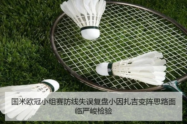 国米欧冠小组赛防线失误复盘小因扎吉变阵思路面临严峻检验